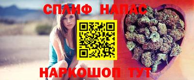 гашик Лесосибирск