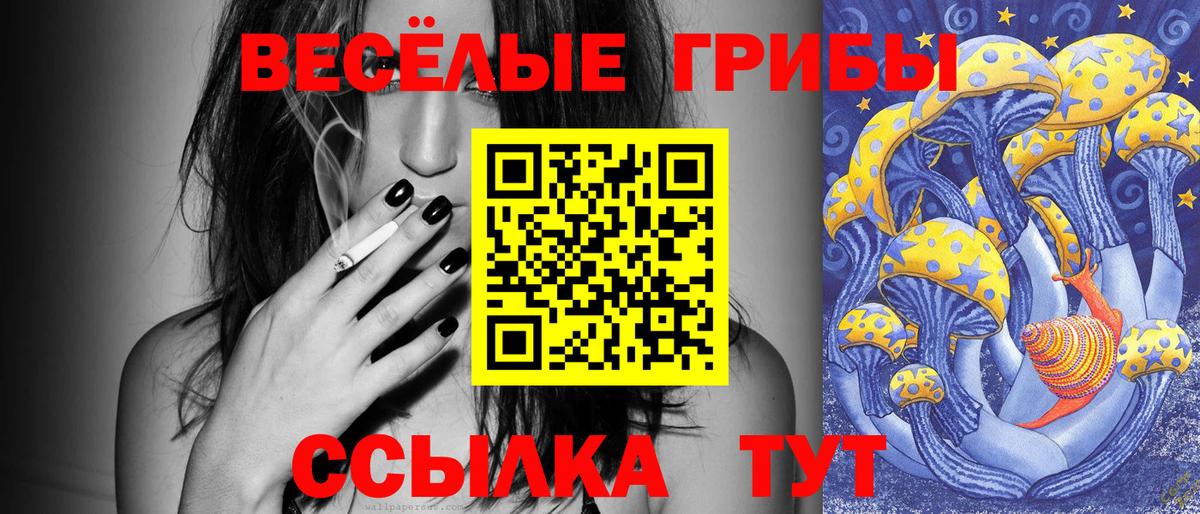 Псилоцибиновые грибы Cubensis  продажа наркотиков  Чехов  Вход с VPN 