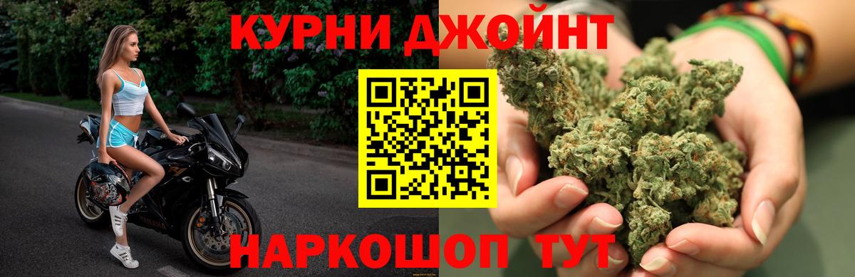 Конопля сатива Чехов